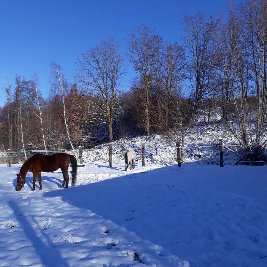 Le Gite Du Cheval Blanc Fraize Exterior foto